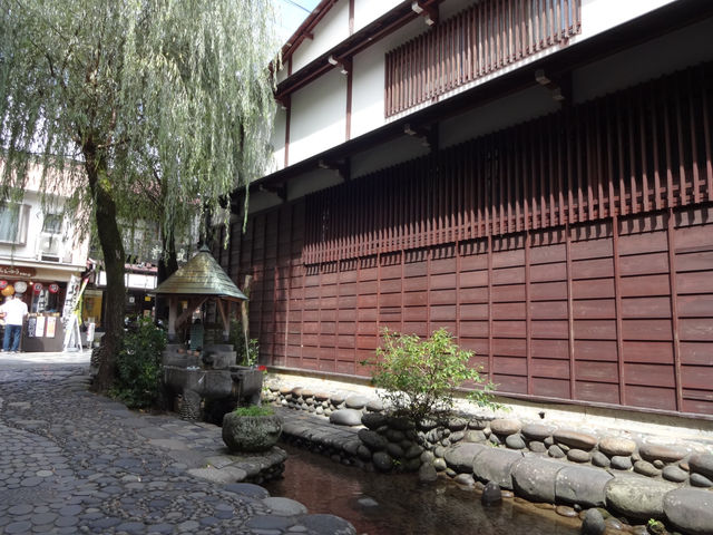 郡上八幡駅とフジの花を観光！