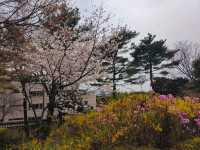 木槿花公園/舍廊房