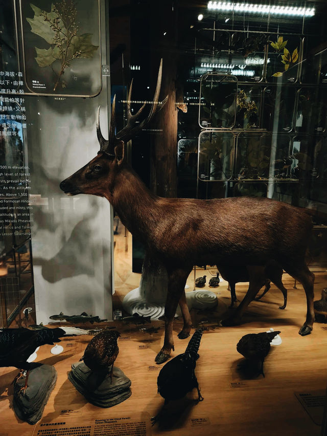 Explore National Taiwan Museum