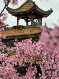 Baomo Garden: A Lingnan Masterpiece of History and Harmony