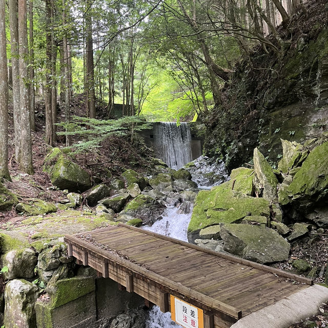 🌰【栗の木岳】 まつさかイレブン