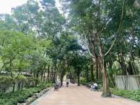 置身和式庭園🌷🦜體驗鳥語花香✨大埔海濱公園🏞️
