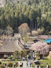 Hidden Gem of Kyoto ✨
