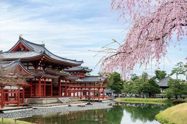 🍵 Uji: Kyoto’s Green Tea Paradise & Timeless Beauty 🍵