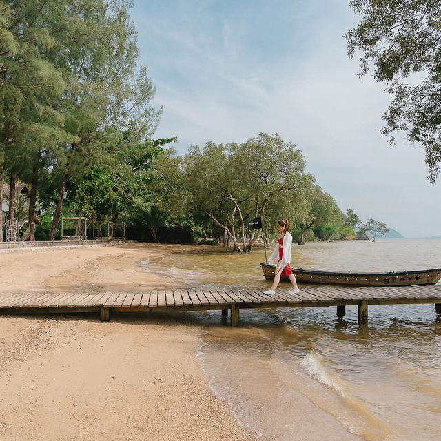 𝗧𝗵𝗲 𝗠𝗮𝗻𝗴𝗿𝗼𝘃𝗲 𝗯𝘆 𝗕𝗹𝘂 𝗠𝗼𝗻𝗸𝗲𝘆 🏞️