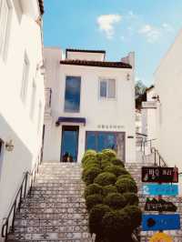 A Slice of the Mediterranean in Bloom: Strolling the Colorful Charm of Meta Provence