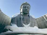 Hill of the Buddha