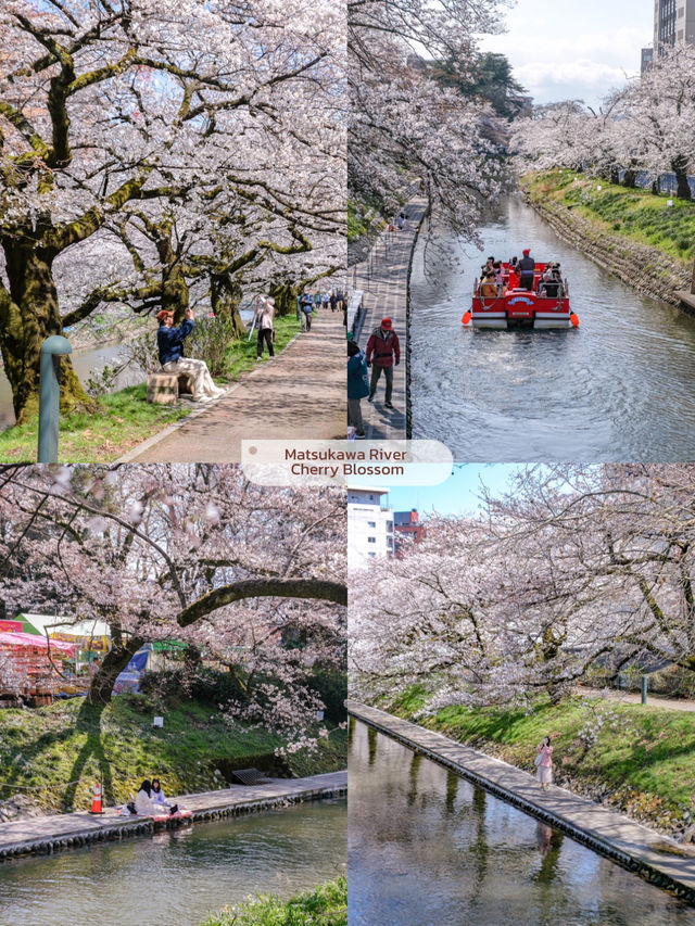 8 พิกัดเที่ยวโทยาม่ากับวิวแจแปนแอลป์สุดอลัง🗻🌸🎌