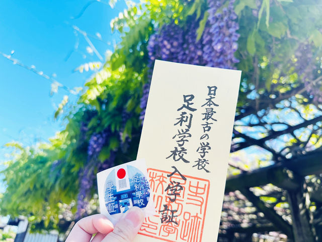 【 春の栃木② 】 あしかがフラワーパークと訪れたい近隣スポット🚶‍♀️