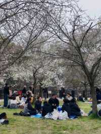大阪城公園历史與自然的完美融合