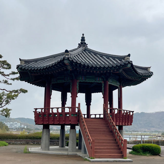 도심 속에 있는 인공호수, 세종호수공원 🫧