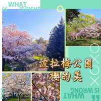 波拉梅公園·櫻花派對