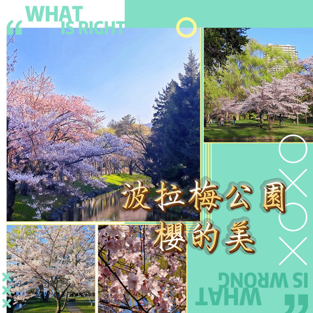 波拉梅公園·櫻花派對