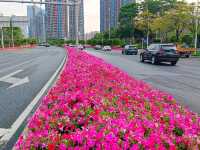 Guiwan (桂湾公园) สวนสาธารณะกุ้ยวาน