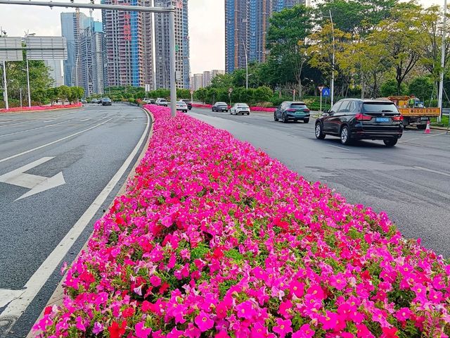 Guiwan (桂湾公园) สวนสาธารณะกุ้ยวาน