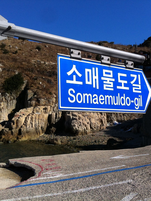 🗺️ 통영 여행 코스: 동피랑 마을, 오미사꿀빵, 소매물도