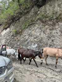 Epic Road to Annapurna