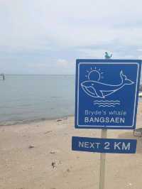 Tiny Island Cafe @ Bangsan