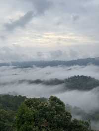 บ้านโฮมเตย์ จ.เชียงใหม่ 🏡⛰️🌧️🌳
