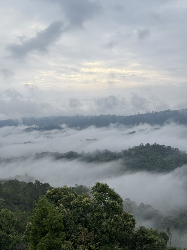บ้านโฮมเตย์ จ.เชียงใหม่ 🏡⛰️🌧️🌳