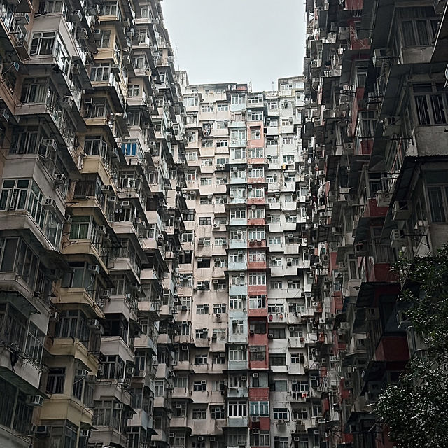 Hong Kong again 😂🫶🏻🇭🇰