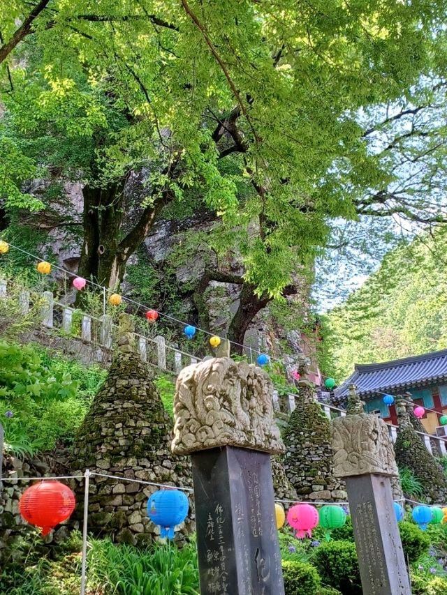 자연과 하나 된 조용한 산사