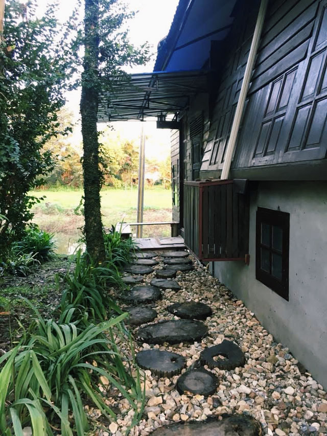 บ้านสวนตะวันใส ที่พักสไตล์โฮมสเตย์ - เชียงราย