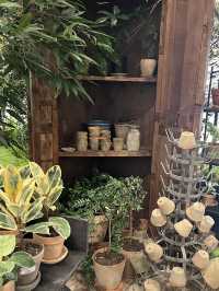 🌿 Sounds Forest: สวนในร่มกลางเมือง
