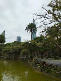 Cherry Blossoms & Skyline Views – A Sweet Surprise in Taipei