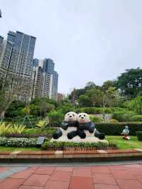 澳門親子景點🦝澳門大熊貓館  |免費參觀|