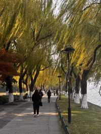 Hangzhou in December still gives autumn scenery!