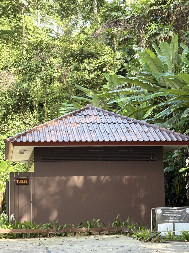 Khaolak Lamru National Park 🏞️ 