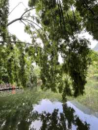 Exploring Huangguoshu Waterfall Scenic Area