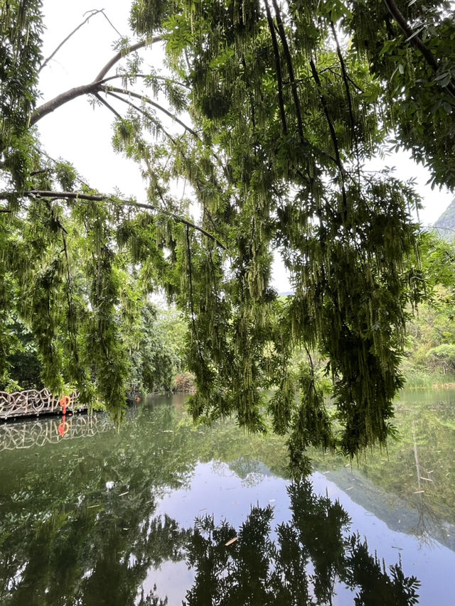 Exploring Huangguoshu Waterfall Scenic Area