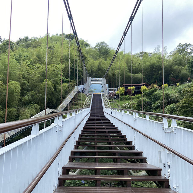 太平雲梯｜全台最高、最長的景觀吊橋 🌉