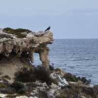 Rottnest Island
