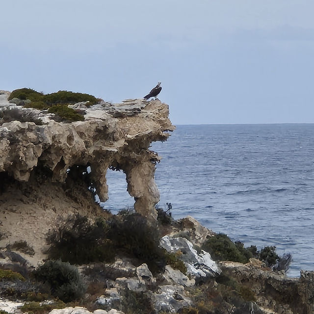 Rottnest Island