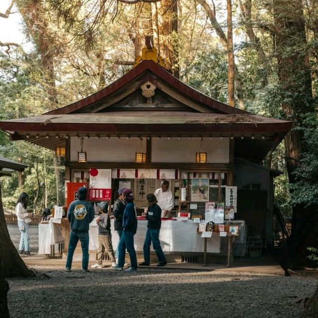 Daytrip In Takachiho