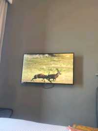 comfortable hotel