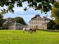 Navan – Where Myth Meets Modern in the Heart of the Boyne Valley