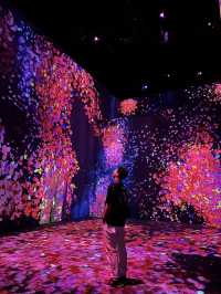 澳門teamlab 超自然空間20250516