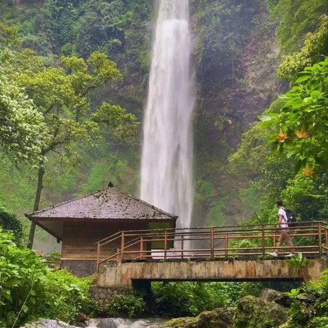 Refreshing Escape to Curug Cimahi Waterfall