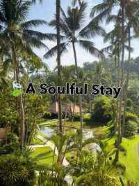 🍃 Nature's Embrace – A Soulful Stay in the Heart of Ubud