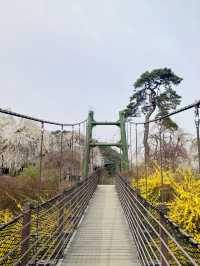 산책하기 좋은 힐링 야외데이트🌲