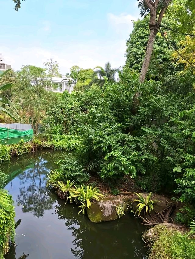 Flora in Singapore Zoo