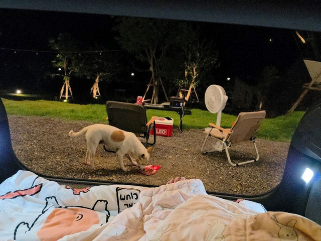 หนีความวุ่นวาย ไปฮีลใจที่แก่งกระจาน จ.เพชรบุรี🏕️✨