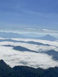 Phu Chi Fa – Chasing the Sea of Mist.