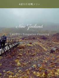 【NZ】タウポ＆トンガリロ4泊5日攻略🗻自然と火山のパワーを体感するアドベンチャー旅