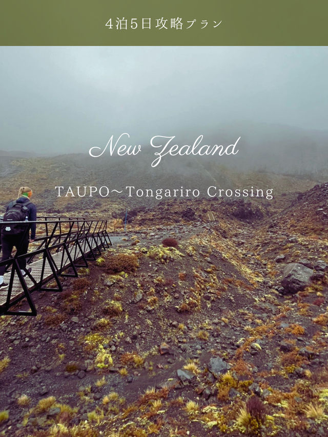 【NZ】タウポ＆トンガリロ4泊5日攻略🗻自然と火山のパワーを体感するアドベンチャー旅
