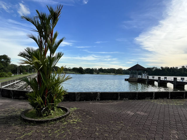 Lower Peirce Reservoir – Brisk Walks & Monkey Business